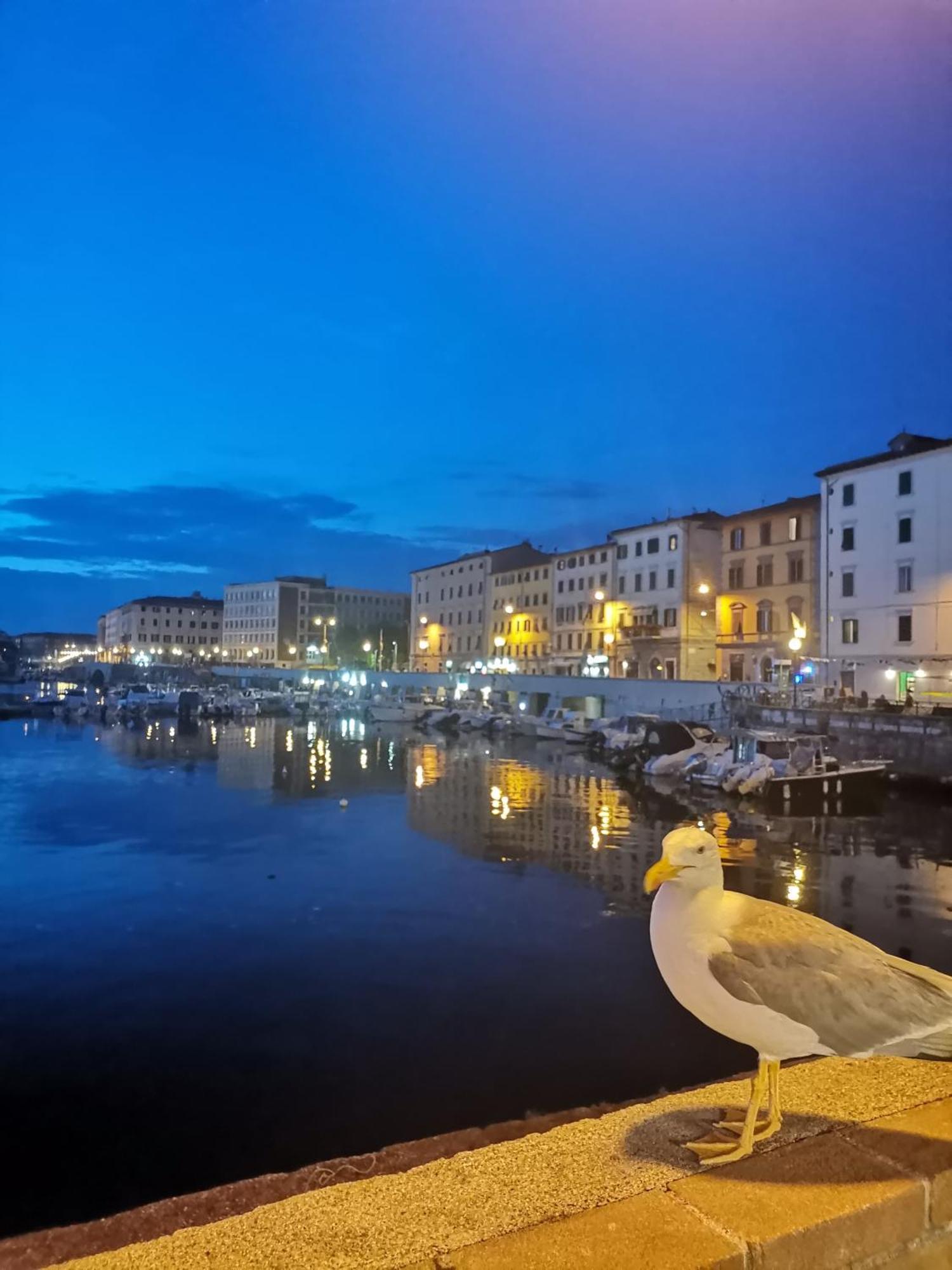 Residenza Vittoria Livorno 아파트 외부 사진